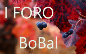 foro-bobal3
