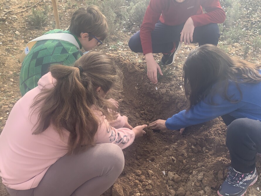 150 alumnos de Utiel y pedanías participan en la jornada de reforestación con motivo del Día del Árbol