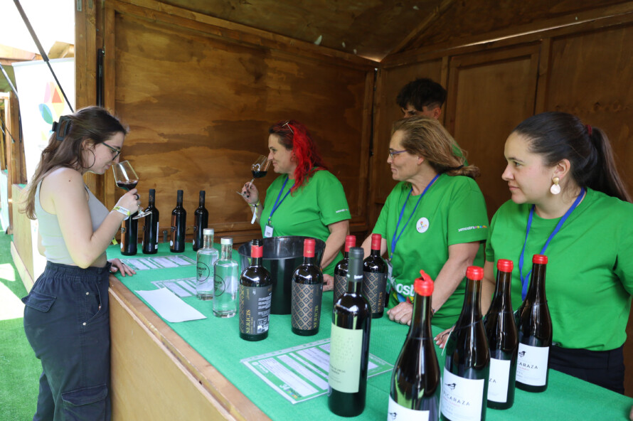 La Escuela de Viticultura y Enología de la Diputació de València participa en la Mostra de Vins de Proava